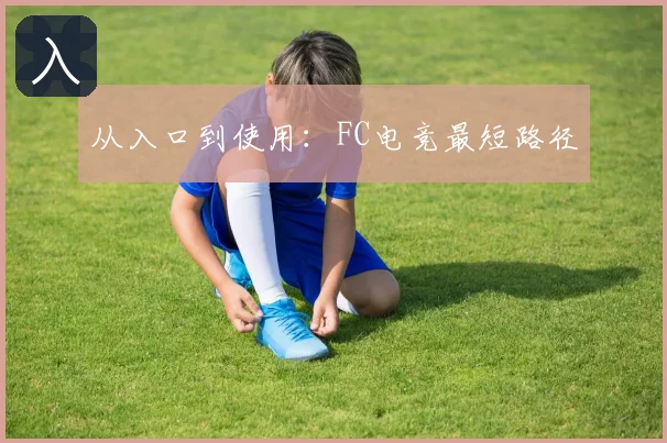 从入口到使用：FC电竞最短路径